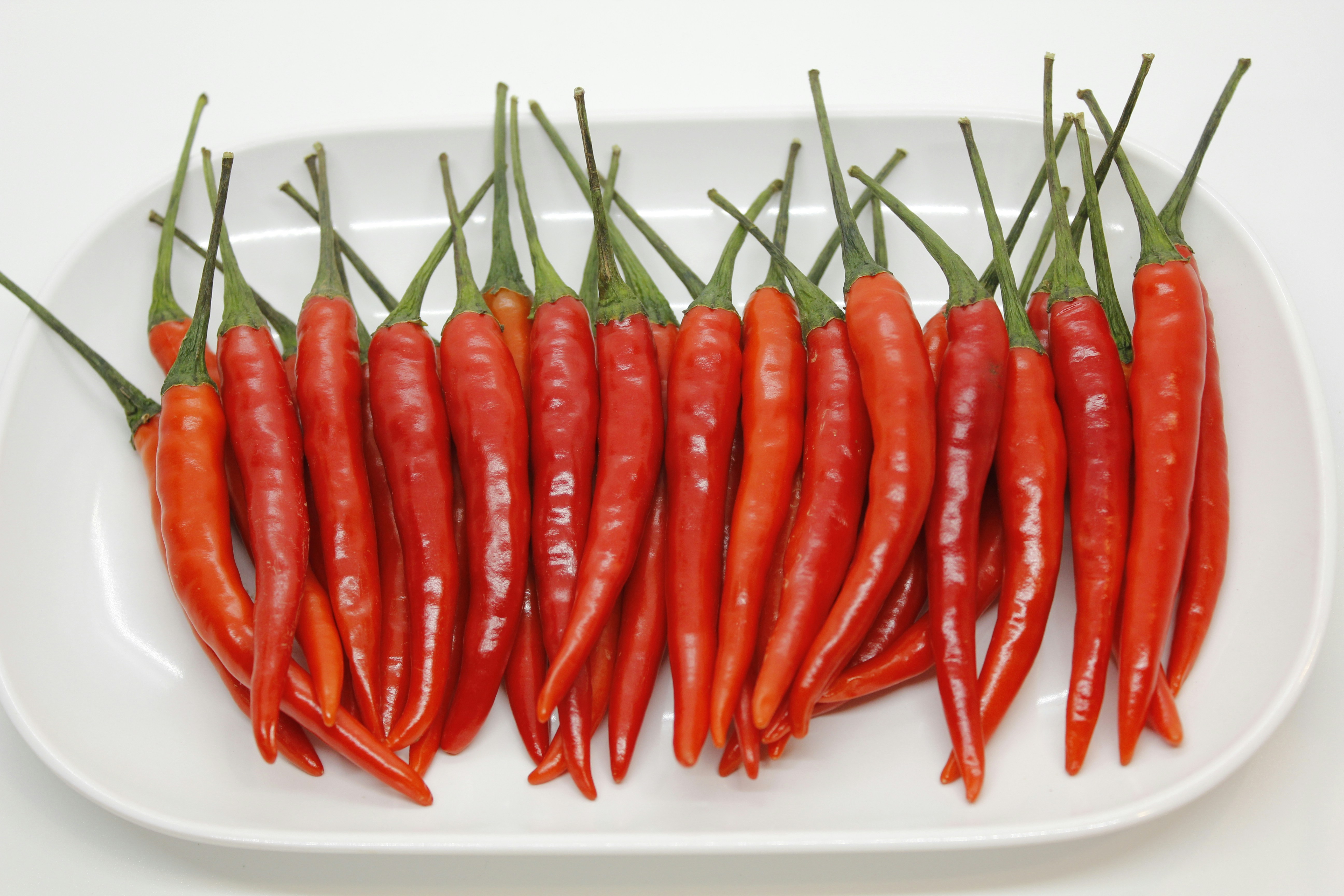 Fresh red chilies arranged on a white serving plate